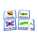 6 Spelling Board Games