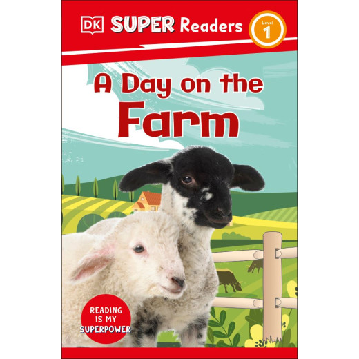 KS 1 Non-fiction reader