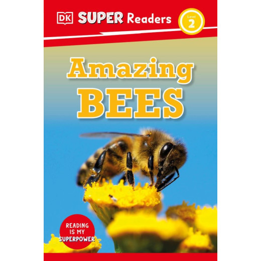 Amazing Bees: illustrated non-fiction reader for KS2