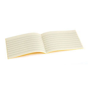 Tinted Handwriting Exercise Books