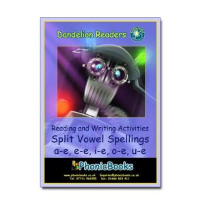 Dandelion Readers Split Vowel Workbook